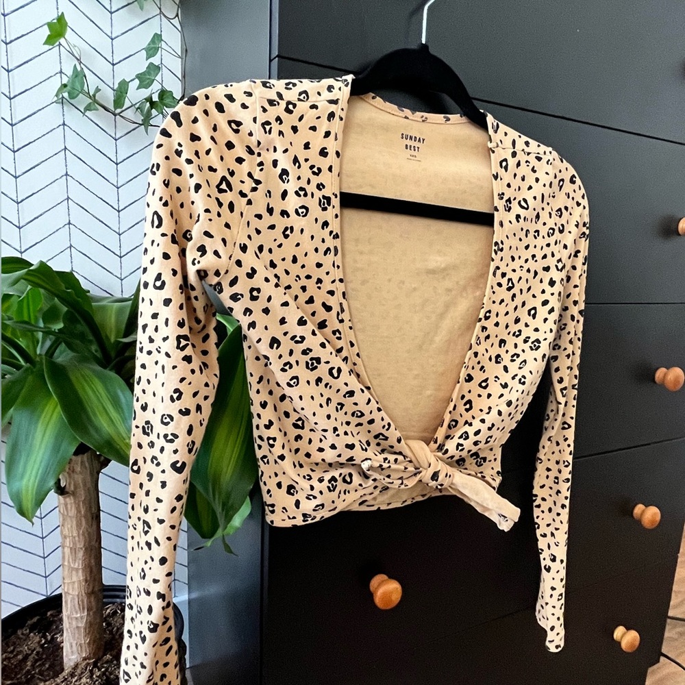 Aritzia Sunday Best Crop Tie Top